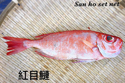 小圖說明寫在這裡