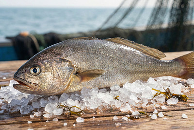 小圖說明寫在這裡