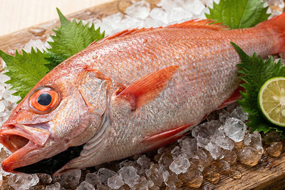 小圖說明寫在這裡